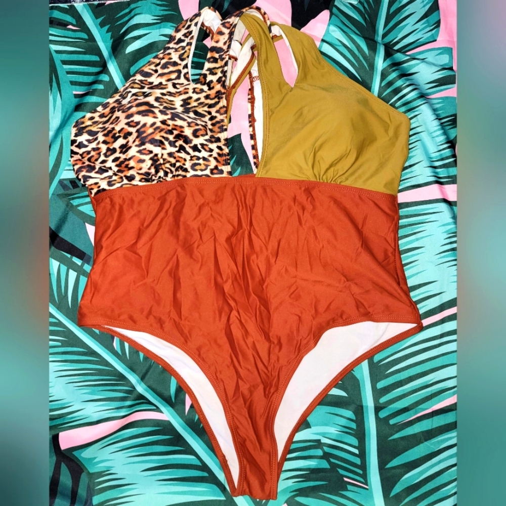 Plus Colorblock One Piece Swimsuit